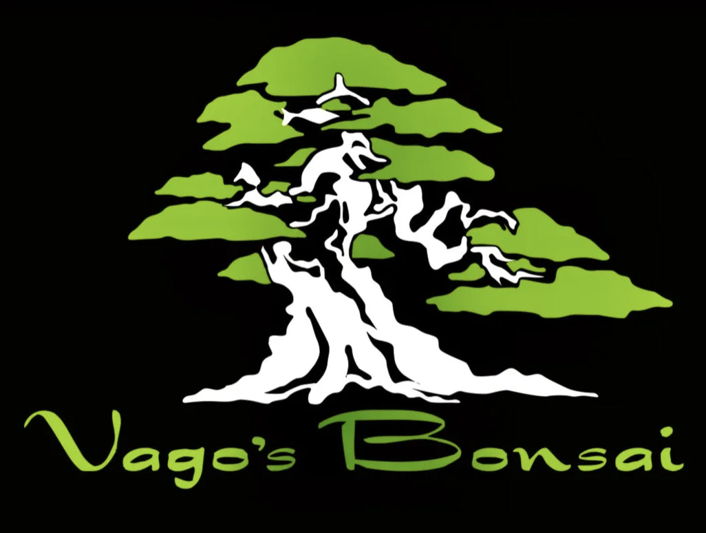 Vago's Bonsai