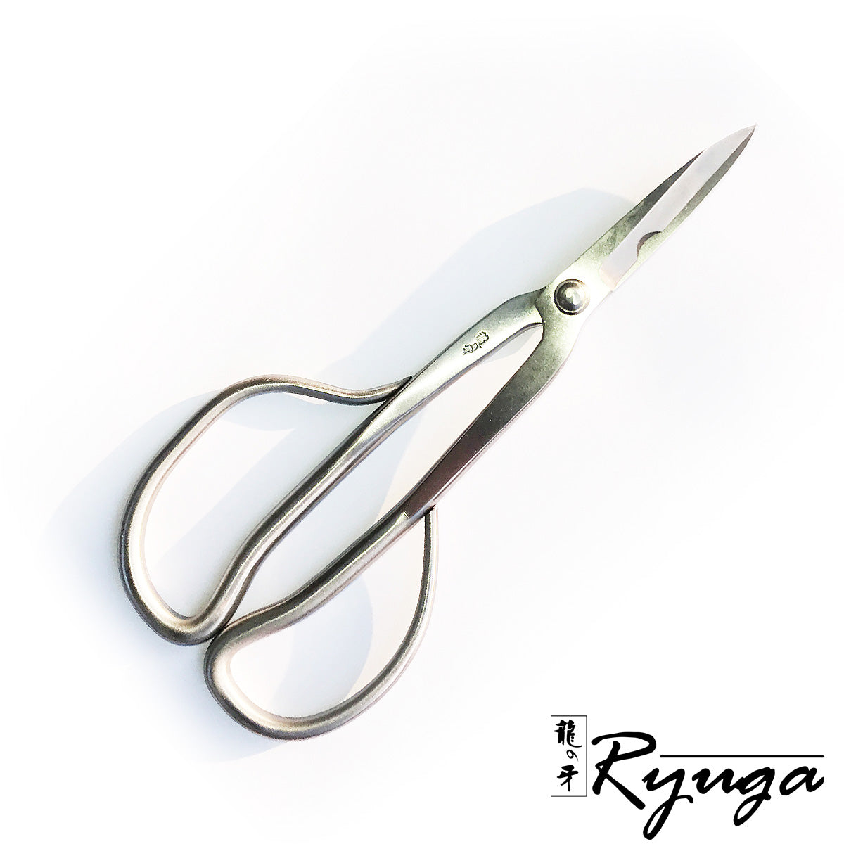 RS-21 3-in-One Shears